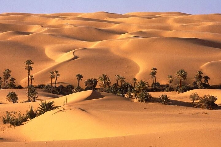 Desert Safari Luxor by Quad